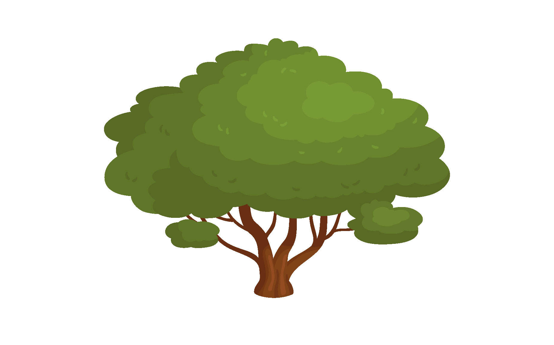 HUERTA
