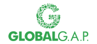 global global